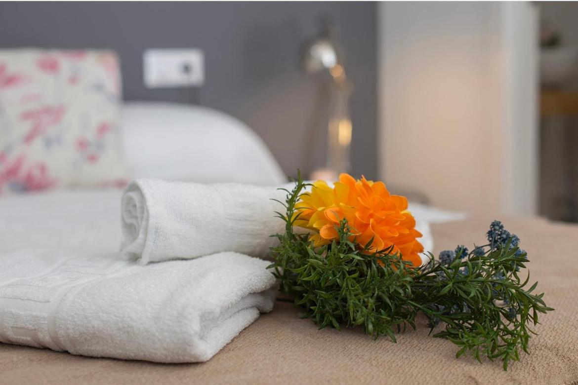 Apartamento Atico Moderno ヘレス エクステリア 写真
